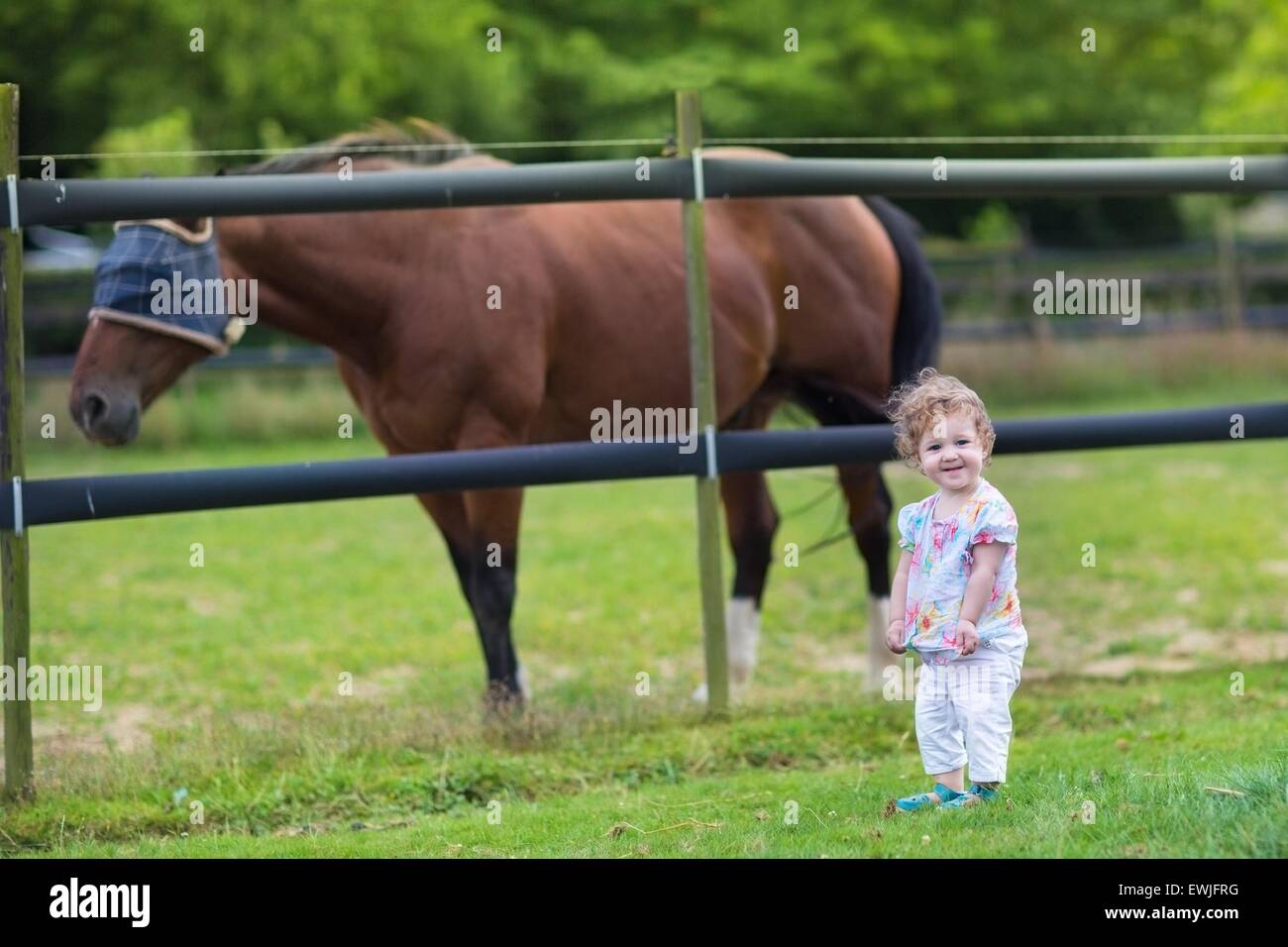 Süße lustige Baby spielt mit einem Pferd auf einem Bauernhof im Sommer Stockfoto