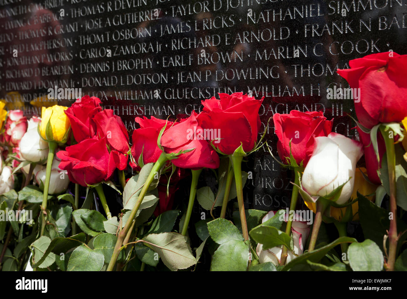 Rosen an der Wand des Vietnam Veterans Memorial zum Vatertag - Washington, DC USA Stockfoto