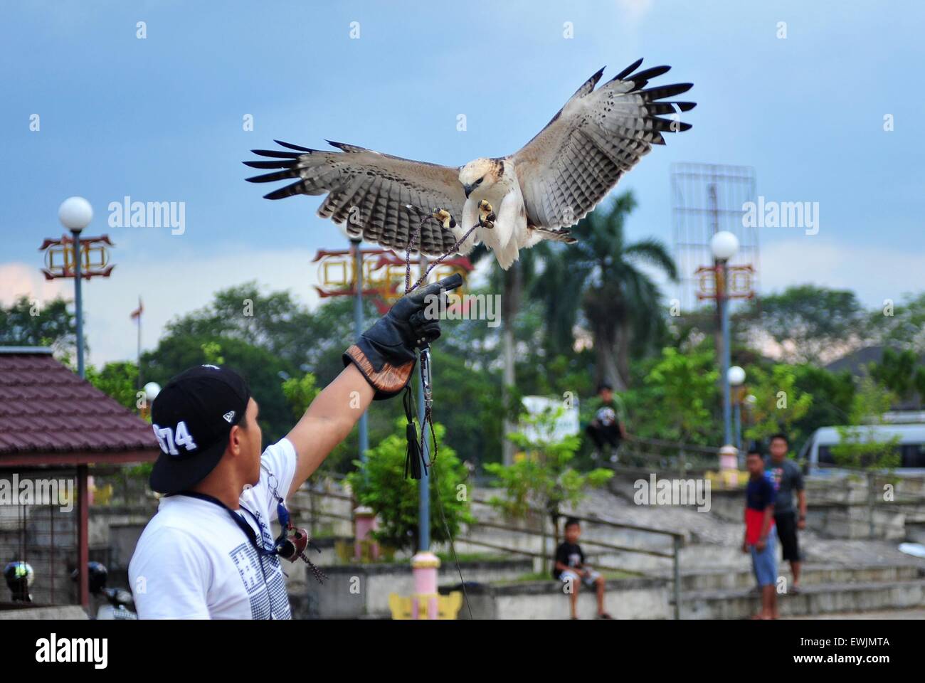 (150627)--PONTIANAK, 27. Juni 2015 (Xinhua)--eine indonesische Mann aus der Gemeinschaft der Vogelliebhaber Züge ein Adlers in Pontianak, Provinz von West-Borneo, Indonesien, 27. Juni 2015. (Xinhua/Zulkarnain) Stockfoto