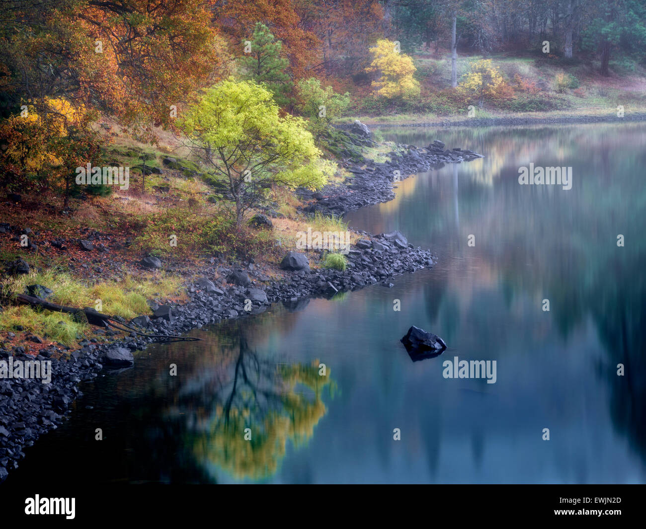Kleinen See und im Herbst Farbe in der Nähe des Colubmia-Flusses. Columbia River National Scenic Area, Washington Stockfoto
