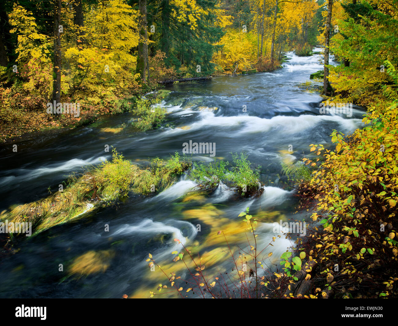 Trout Lake Creek in Herbstfarben. Washington Stockfoto
