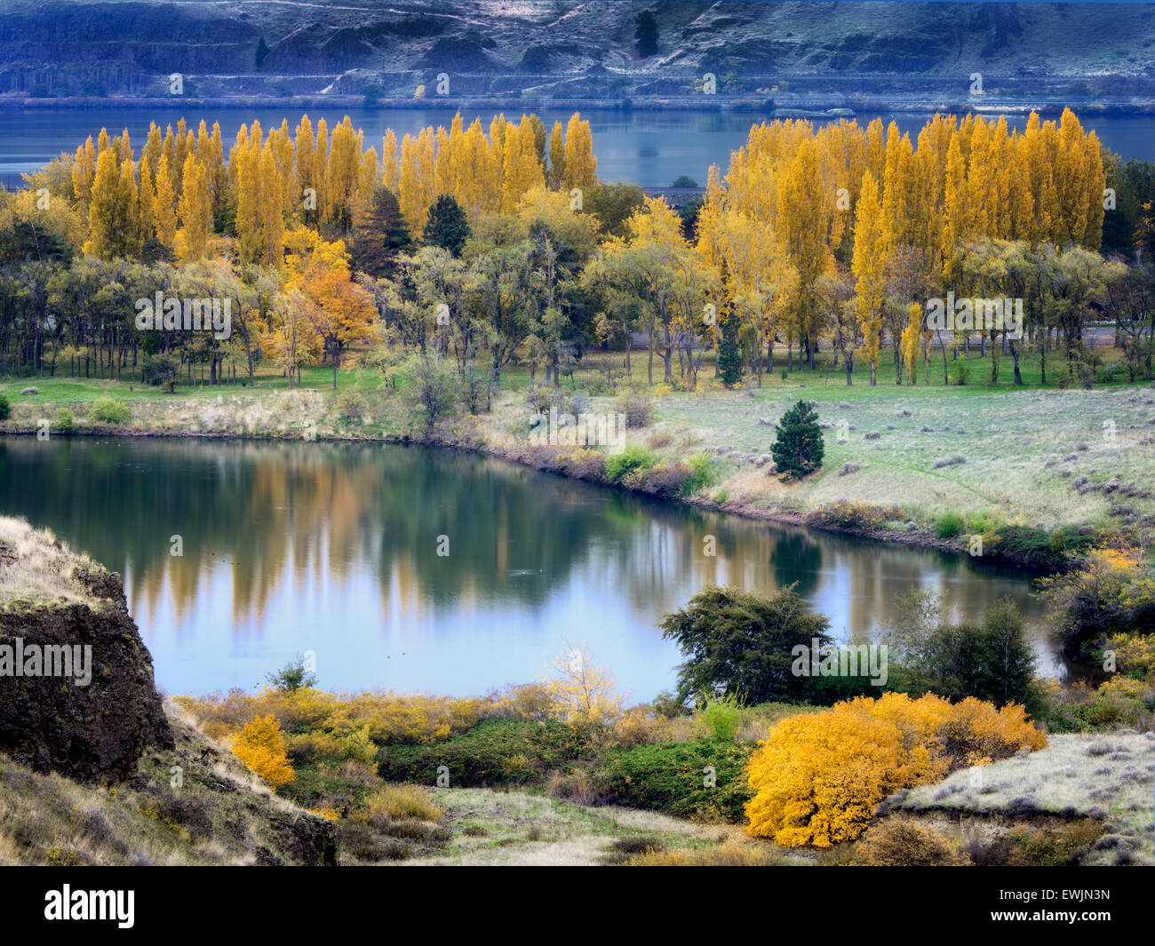 Herbstfarben am Horesthief Lake State Park, Washington. Columbia River Gorge National Scenic Area Stockfoto