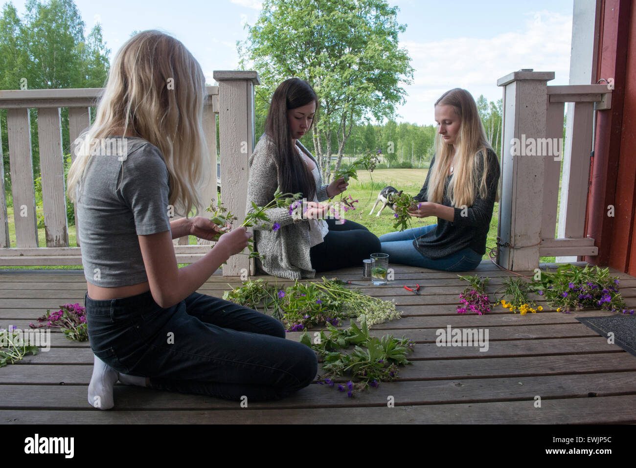 Schwedische Jugendliche machen den traditionellen Mittsommer-Kranz. Stockfoto