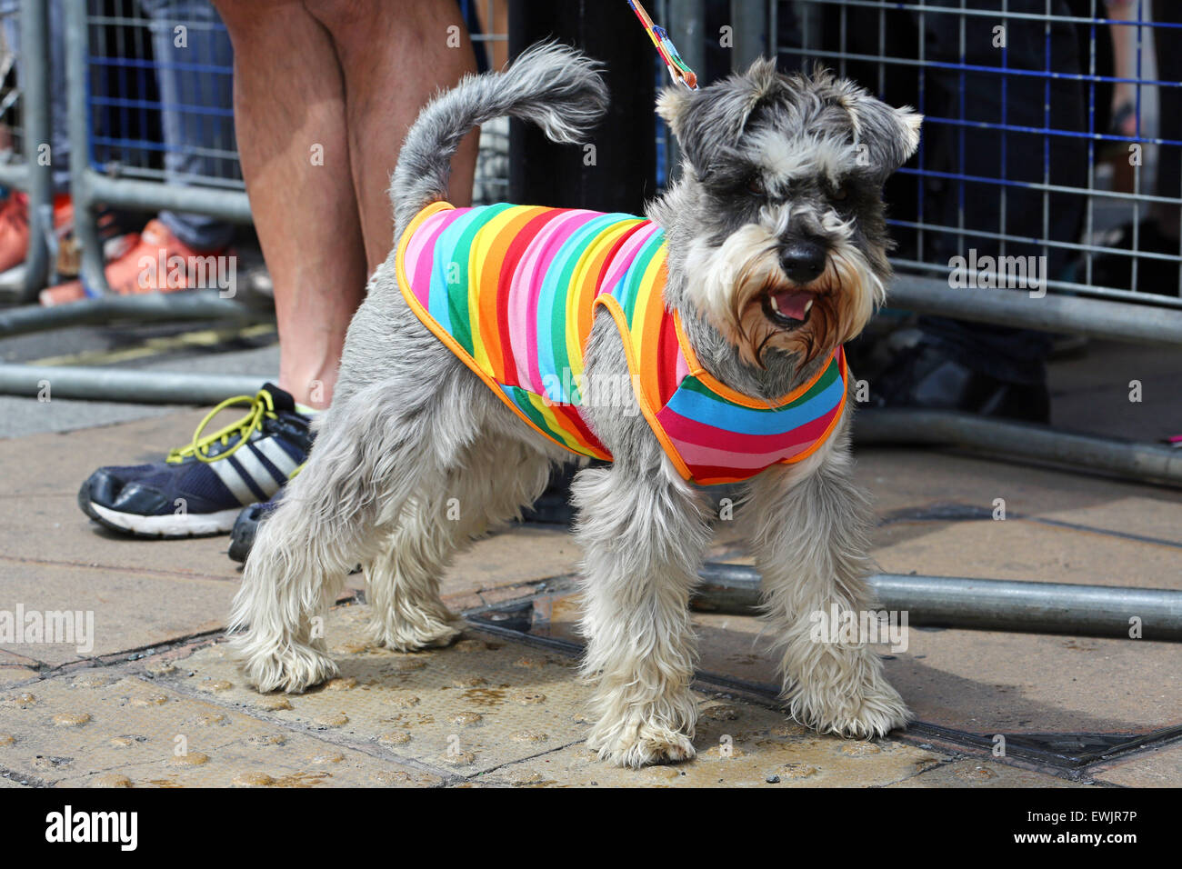 London, UK. 27. Juni 2015. Teilnehmer an der London Pride Parade 2015 Credit: Paul Brown/Alamy Live-Nachrichten Stockfoto