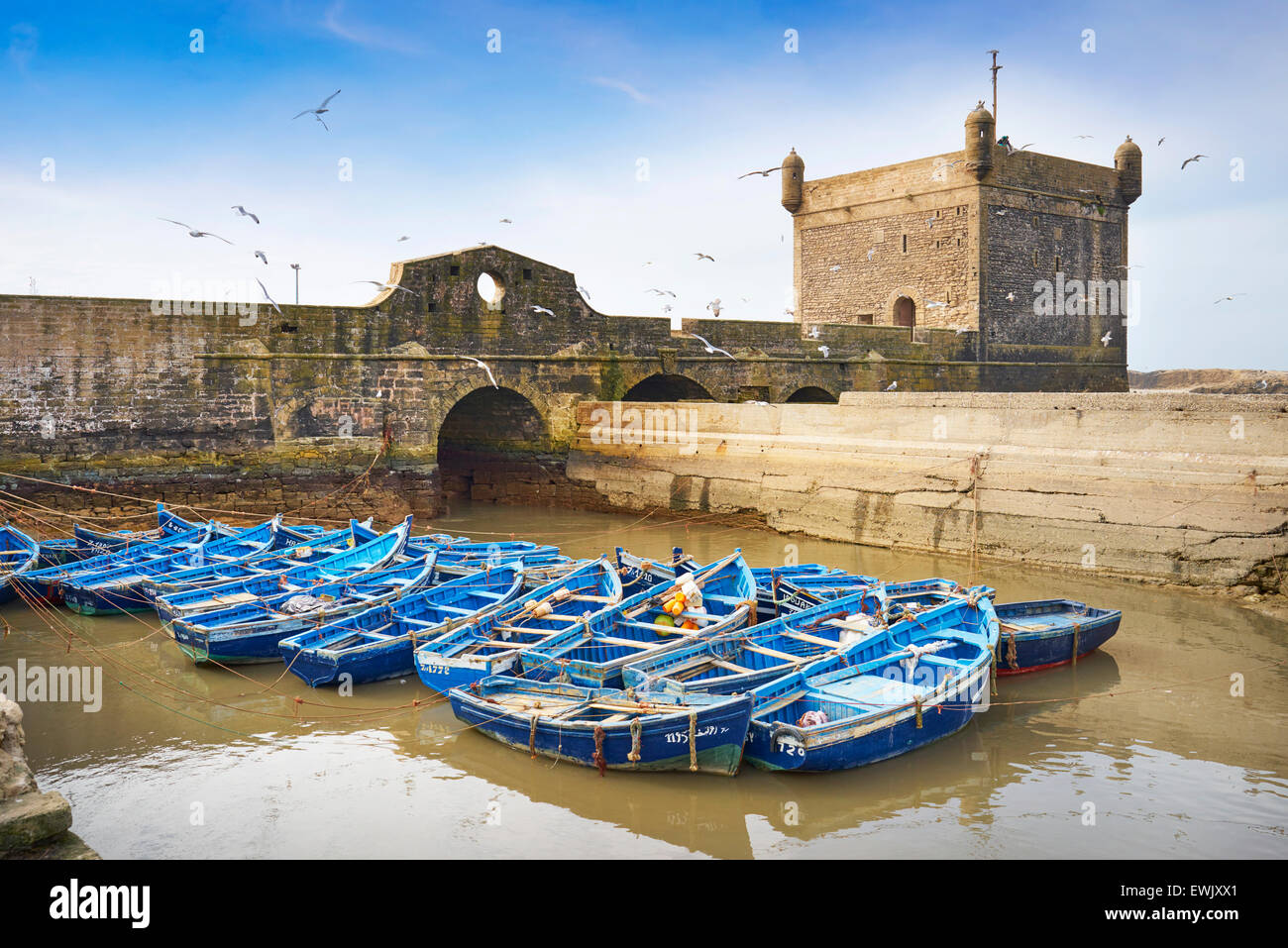 Blaue Angelboote/Fischerboote im Hafen von Essaouira, Marokko Marokko, Afrika Stockfoto