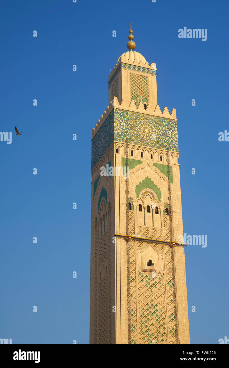 Hassan II Moschee, Casablanca, Marokko, Afrika Stockfoto