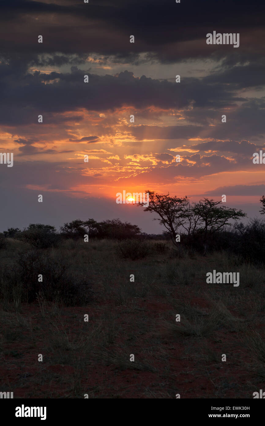 Sonnenuntergang über Tswalu Kalahari, Südafrika Stockfoto