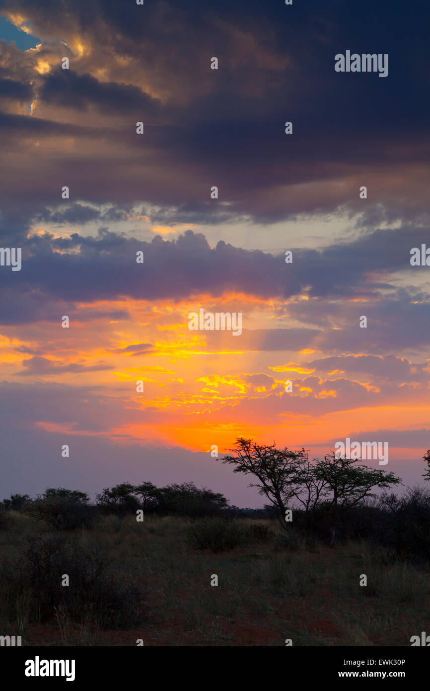 Sonnenuntergang über Tswalu Kalahari, Südafrika Stockfoto