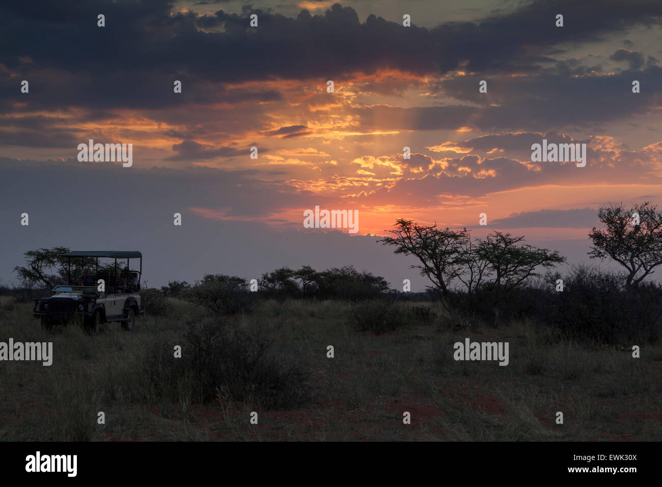 Sonnenuntergang über Tswalu Kalahari, Südafrika Stockfoto