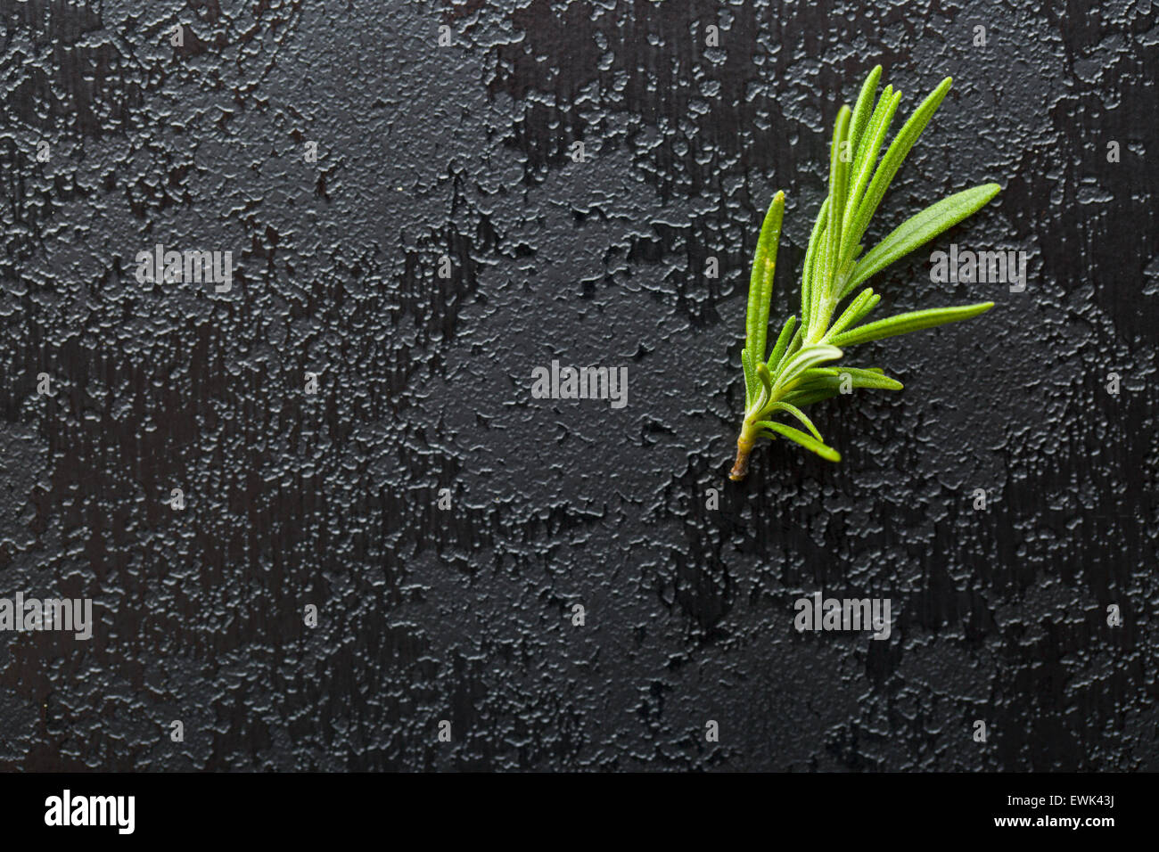 Rosmarin-Zweig am schwarzen Tisch Stockfoto