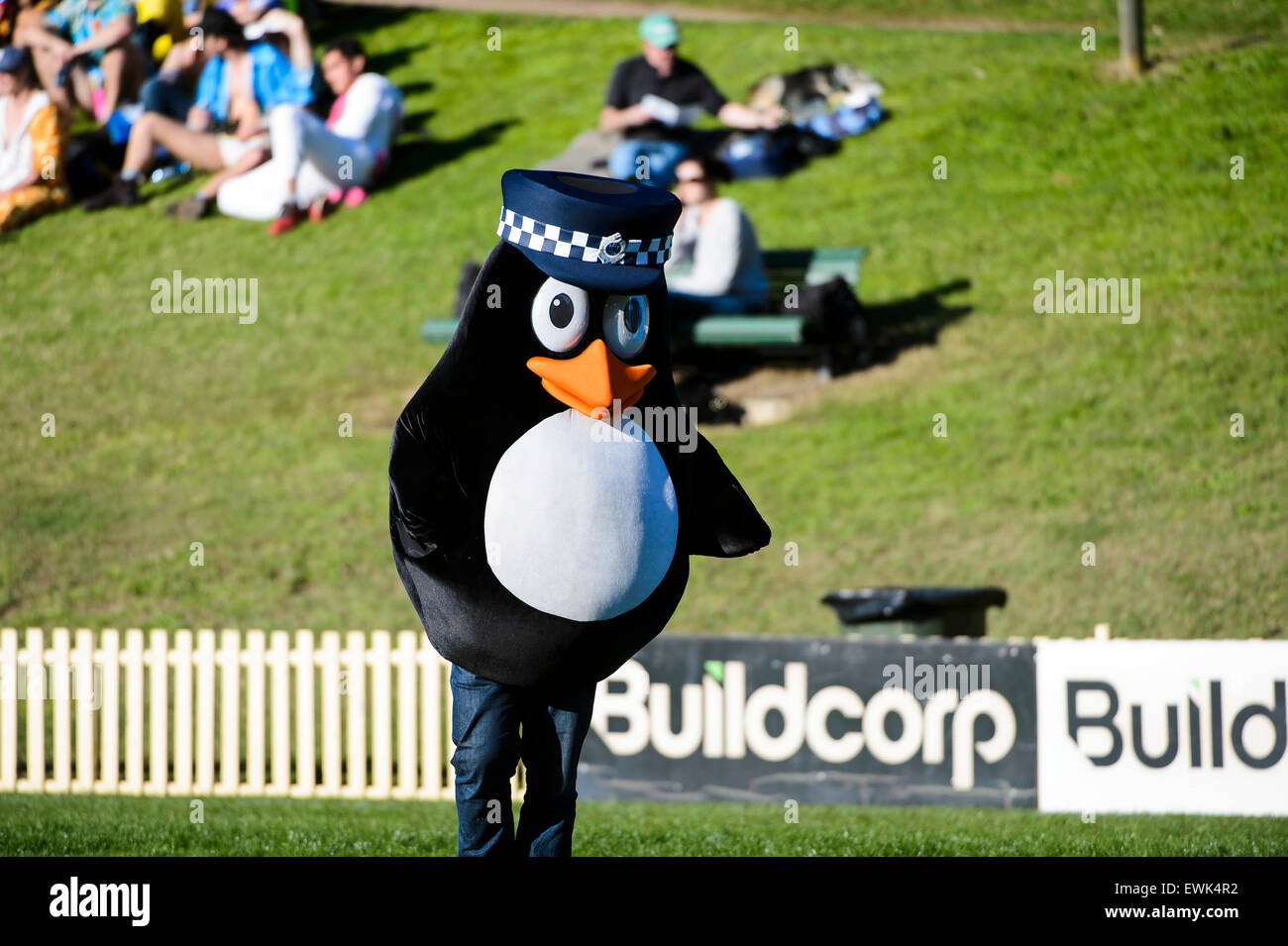 Sydney, Australien. 27. Juni 2015. Mascot NSW Police Constable Charlie Penguin besuchte das Feuer und Rettung New South Wales Rugby-Spiel gegen die NSW Polizei in Sydney University No. 1 Oval in Sydney Credit: MediaServicesAP/Alamy Live News Stockfoto