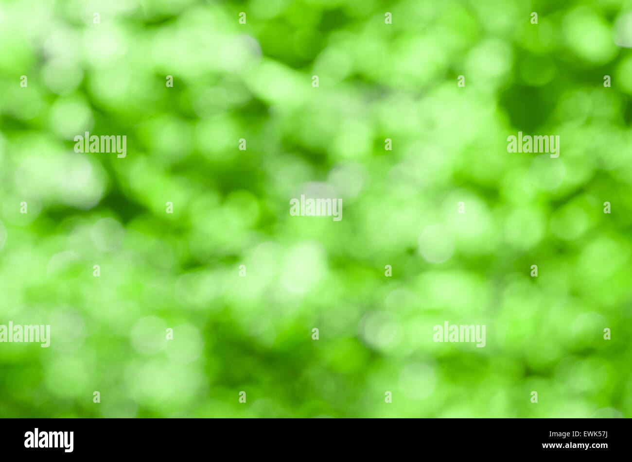 Defokussierten abstrakt grüne Natur Hintergrund Stockfoto