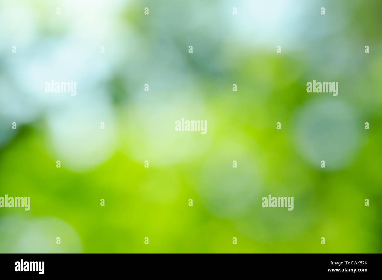 Defokussierten abstrakt grüne Natur Hintergrund Stockfoto