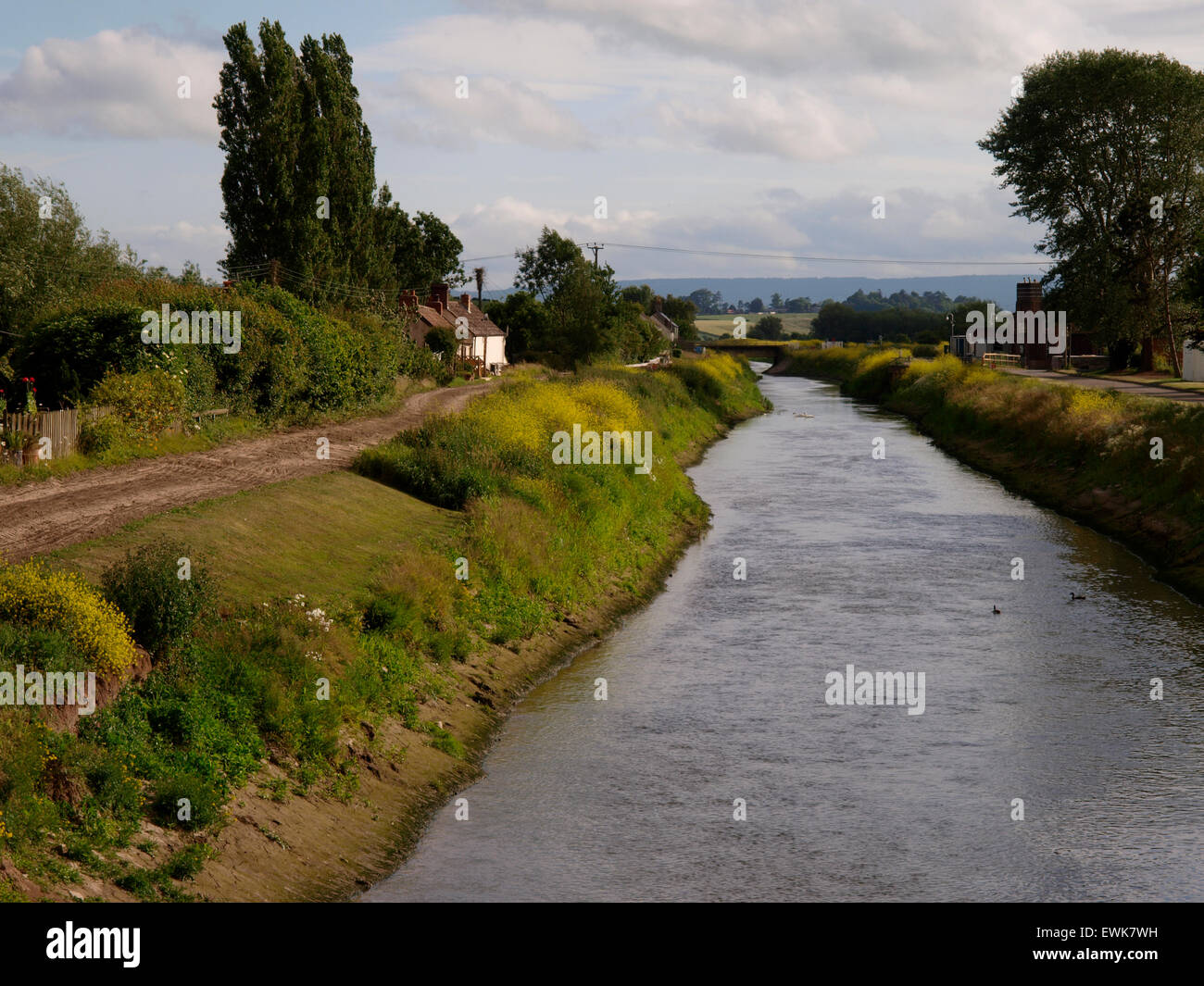 Fluss-Ton, Currymore, Somerset, Großbritannien Stockfoto