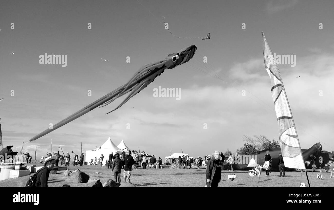 Auckland, Neuseeland. 28. Juni 2015. Drachen in allen Formen und Größen fliegen in den klaren Himmel tagsüber Puketapapa Manu Aute Kite Winstone Park in Mount Roskill, Auckland, Zealand, aufgenommen am Sonntag, 28. Juni 2015. Bildnachweis: Aloysius Patrimonio/Alamy Live-Nachrichten Stockfoto