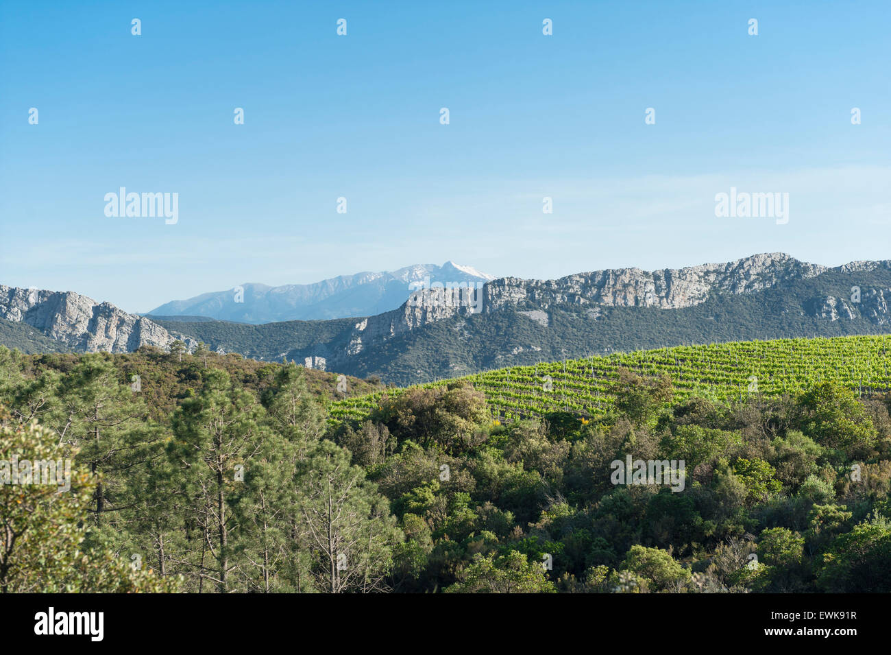 Blick vom südlichen Ausgang des Gorges de Galamus über das Agly Tal auf den Pyrenäen-Gipfel des Canigou, Frankreich Stockfoto