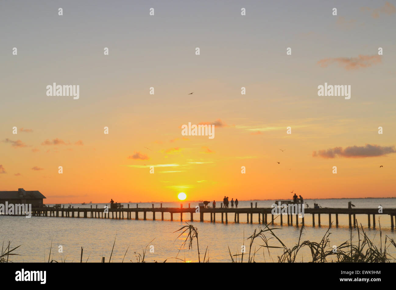 Anna Maria Island, Florida, USA. Juni 2015. Ein glorreicher Start in den Tag am City Pier..86 F und weniger feucht als spät, eine sanfte Brise mit einer Wolke über dem Golf Stockfoto