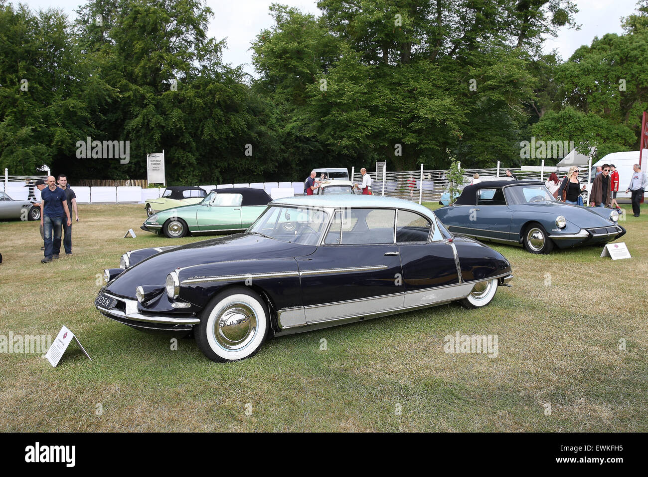 Goodwood Festival of Speed 2015 Stockfoto