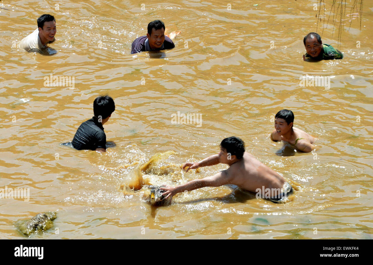 Yongzhou, Chinas Hunan Provinz. 28. Juni 2015. Leute fangen Fische im Schlamm während eines lokalen Festivals feiern die Wiedervereinigung von Paaren in Jiangyong County, Zentral-China Hunan Provinz, 28. Juni 2015. In der Antike einheimische Männer arbeiteten und lebten im Feld "Paddy" weit weg von Zuhause bis Frühjahr pflügen sie beenden. Sie Schlamm auf den Beinen abgewaschen und wieder vereint mit ihren Ehefrauen. Menschen vor Ort eingerichtet um die Wiedervereinigung zu feiern, das Festival. © Huang Hai/Xinhua/Alamy Live-Nachrichten Stockfoto