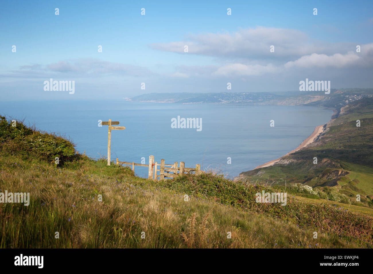 Wegweiser und küssen Tor auf dem South West Coast Path, mit Blick auf Lyme Bay. Dorset. England. VEREINIGTES KÖNIGREICH. Stockfoto