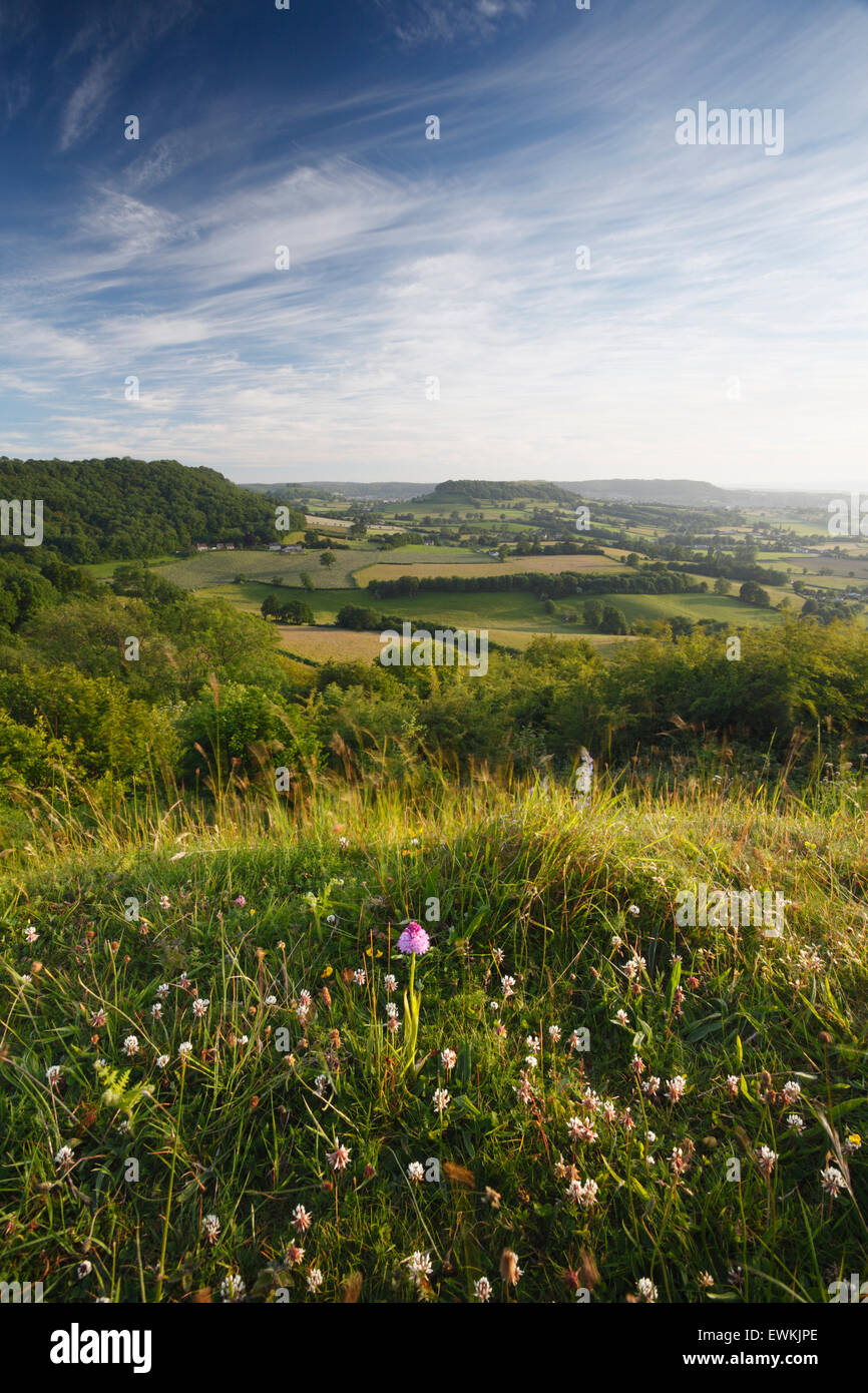 Blick vom Coaley-Höhepunkt in Richtung Cam lange nach unten. Frocester Hill Nature Reserve. Die Cotswolds. Gloucestershire. VEREINIGTES KÖNIGREICH. Auf die Cotswold Stockfoto