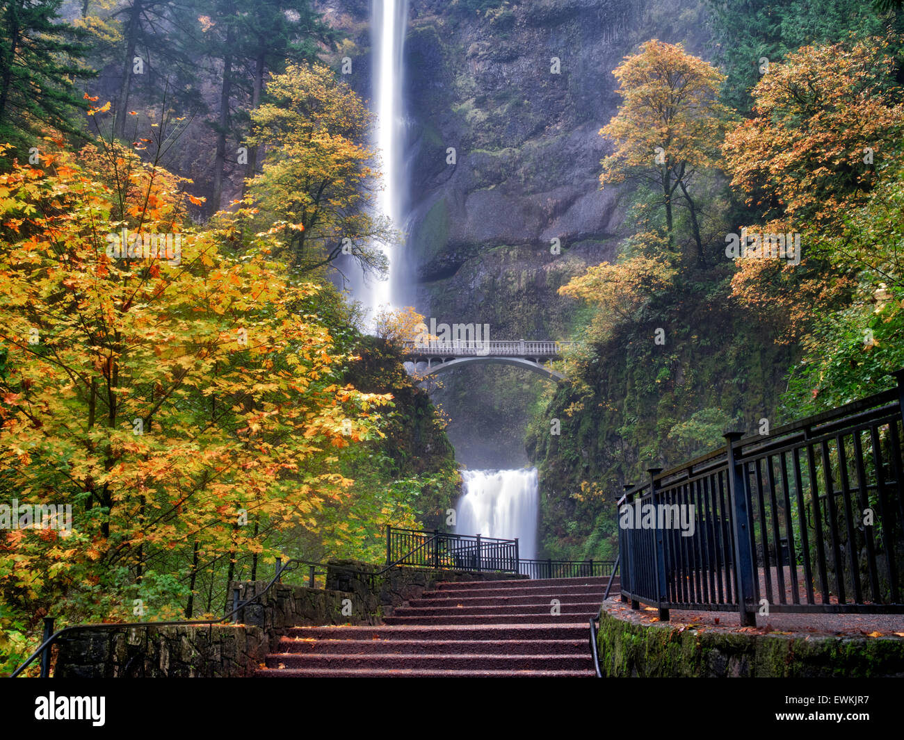 Multnomah Falls mit Schritten und Herbstfarben. Columbia River Gorge National Scenic Bereich, Oregon Stockfoto