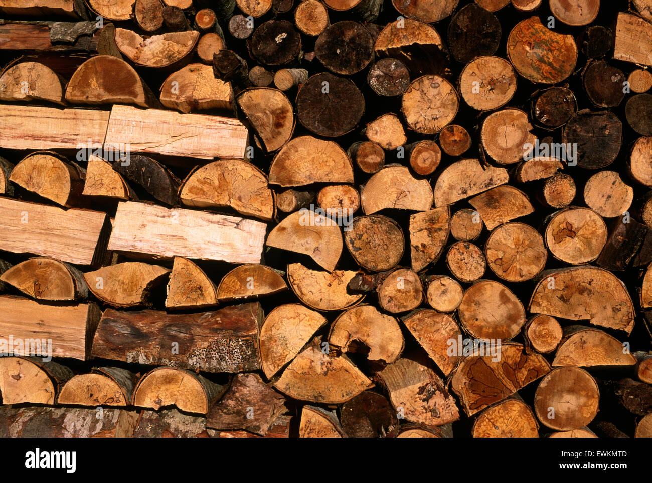 Italien, Abruzzen, Holzpfahl Stockfoto