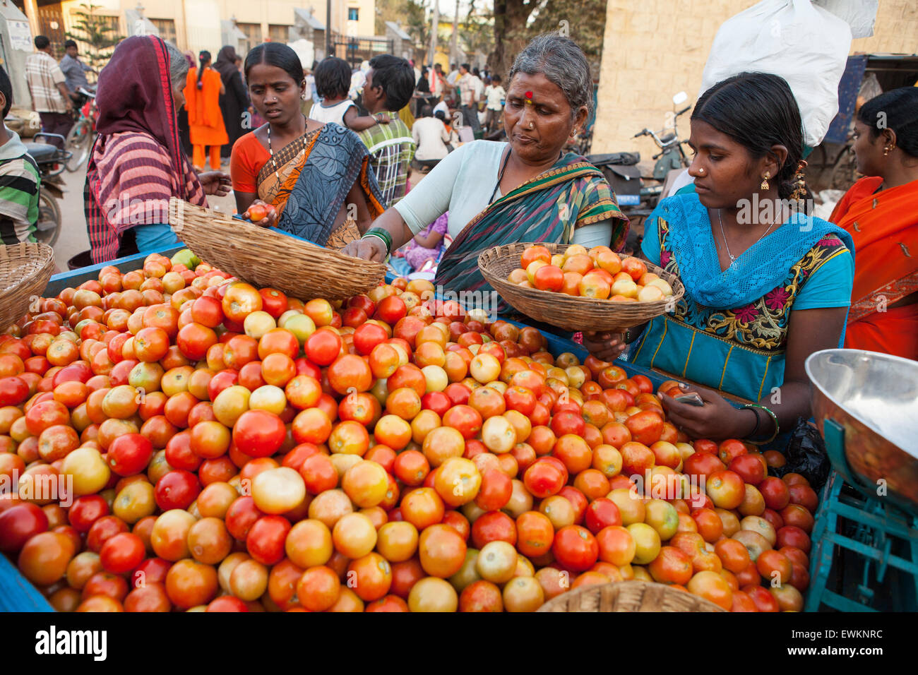Verkauf von Tomaten in der Gemüsemarkt in Hospet Frau Stockfoto
