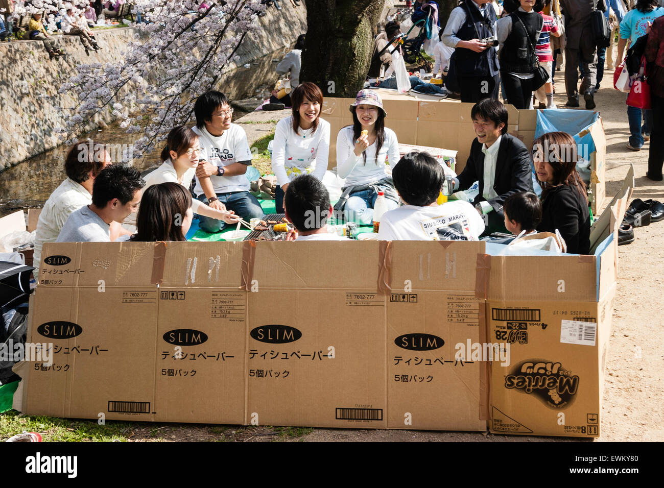 Japan. Gruppe für junge Erwachsene Personen, die eine traditionelle japanische Kirschblüte im Frühling von River. Gruppe von Pappe umgeben. Stockfoto