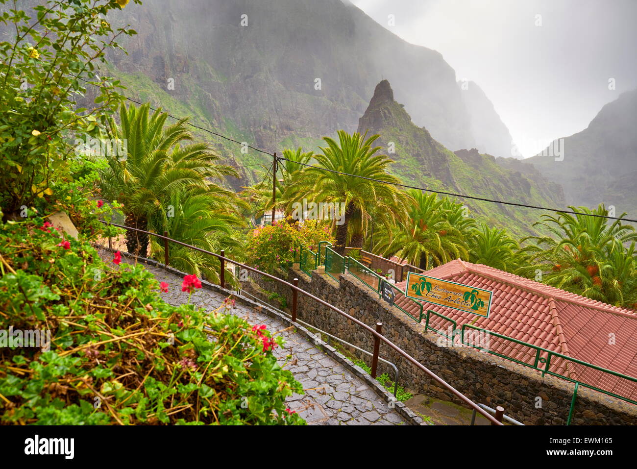 Dorf Masca, Teneriffa, Kanarische Inseln, Spanien Stockfoto