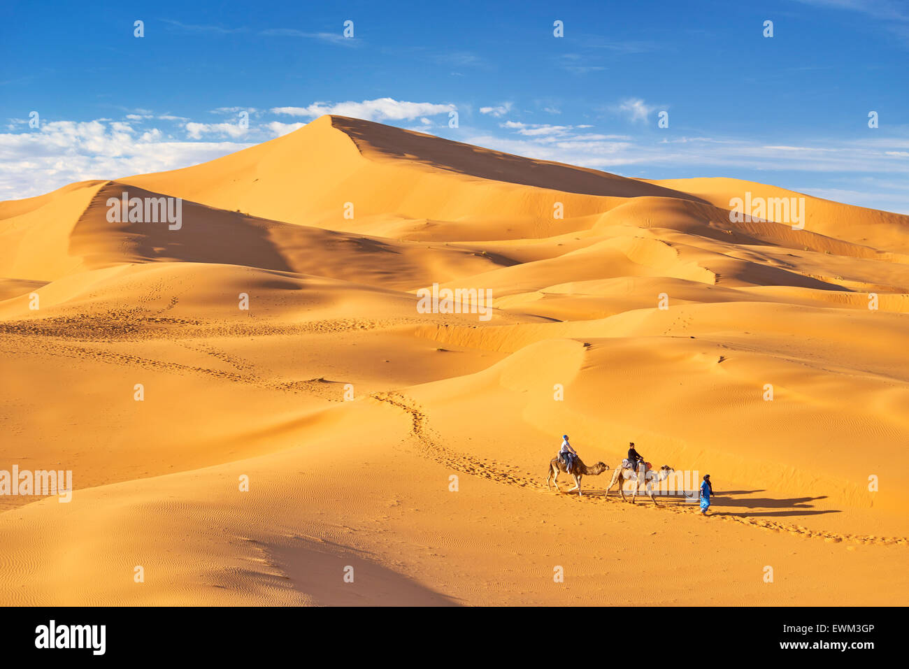 Marokko - Touristen reiten auf Kamelen, Erg Chebbi Wüste bei Merzouga, Sahara Stockfoto