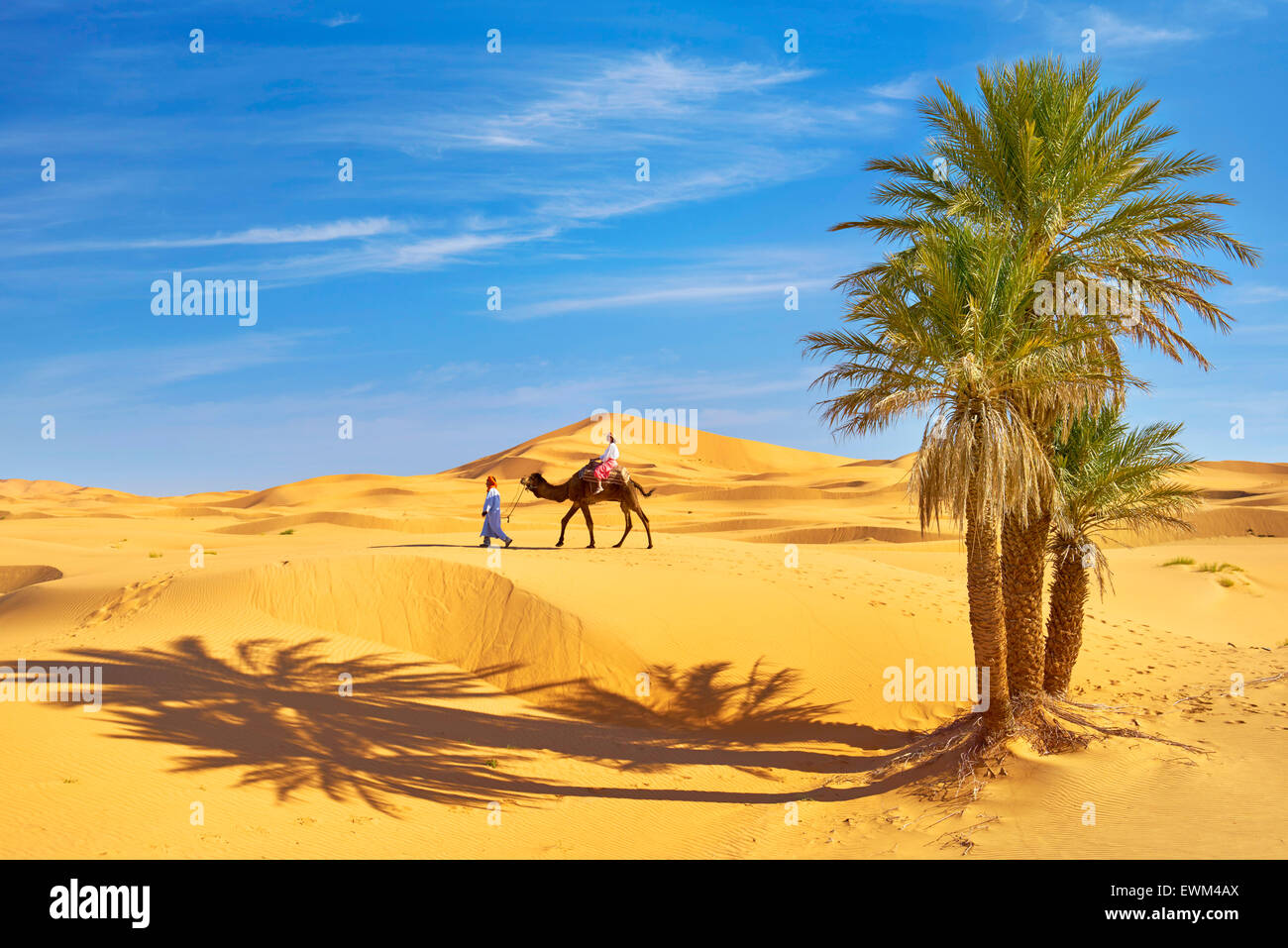 Touristen auf Kamel reiten, Erg Chebbi Wüste bei Merzouga, Sahara, Marokko Stockfoto