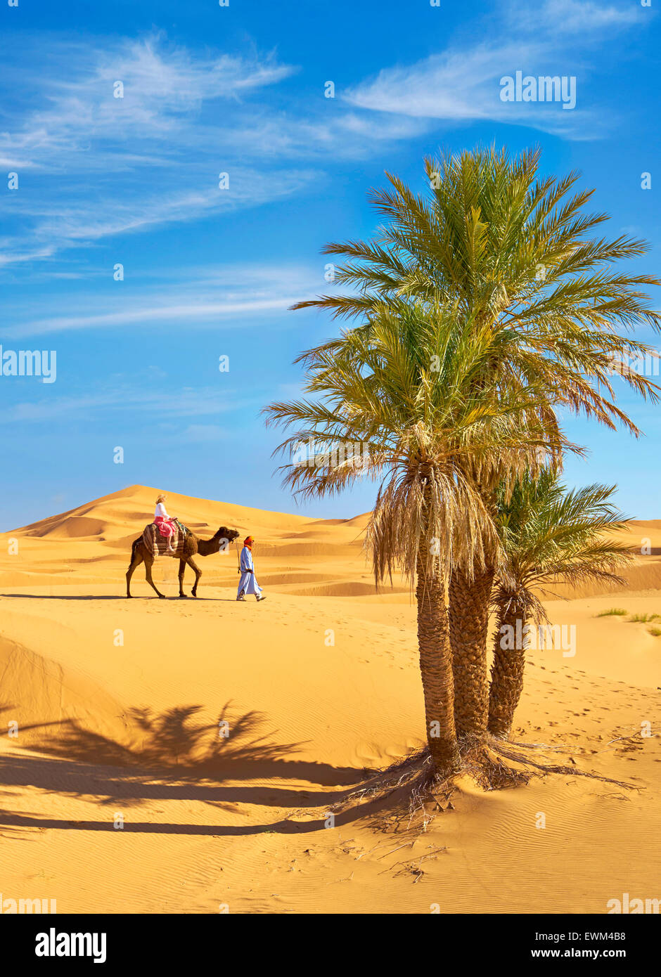 Sahara - Touristen auf Kamel reiten, Erg Chebbi Wüste bei Merzouga, Marokko Stockfoto