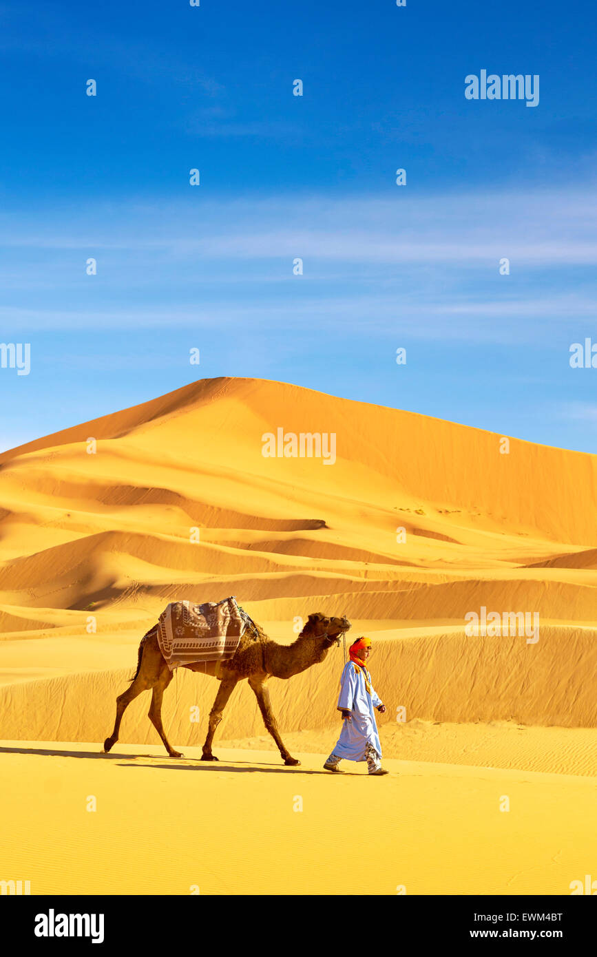 Berber Mann mit seinem Kamel, Erg Chebbi Wüste bei Merzouga, Sahara-Dünen, Marokko Stockfoto