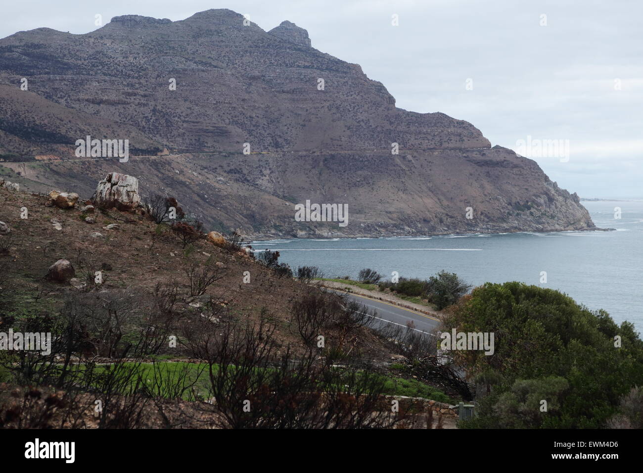 Berghängen verwüstet durch ein Buschfeuer auf Chapmans Peak Drive, in der Nähe von Hout Bay in der Kap-Halbinsel Stockfoto