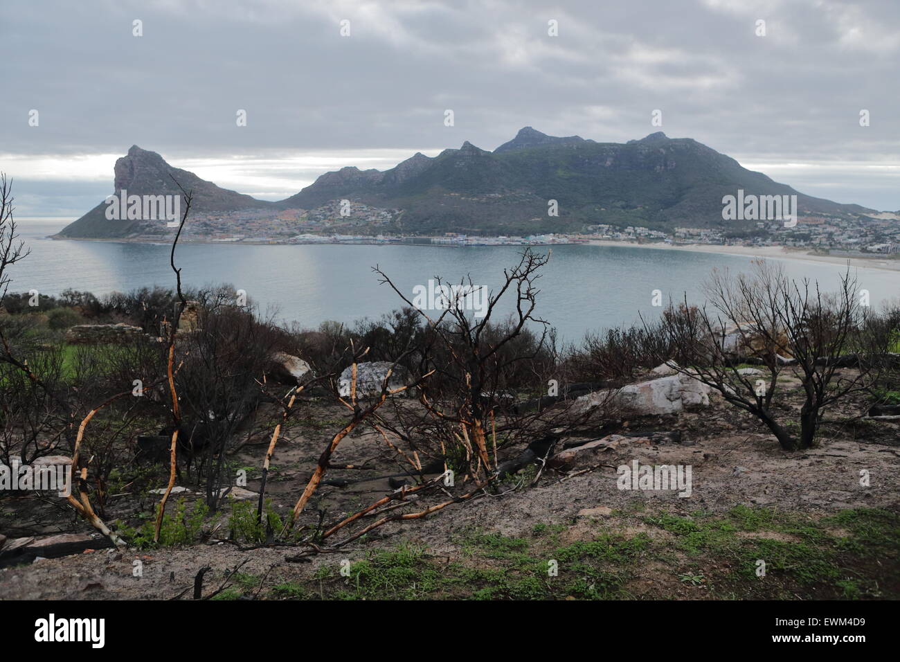 Blick auf den Sentinel und Hout Bay vom Berg fällt nach einem eine verheerende Buschfeuer in der Kap-Halbinsel Stockfoto