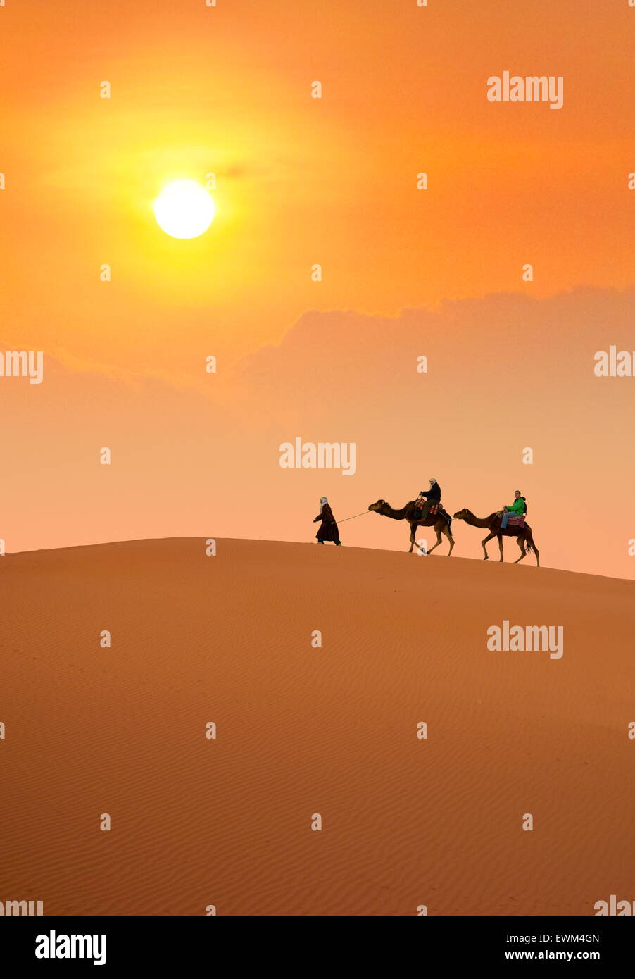Touristen auf Kamel reiten bei Sonnenuntergang, Erg Chebbi Wüste bei Merzouga, Sahara-Dünen, Marokko Stockfoto