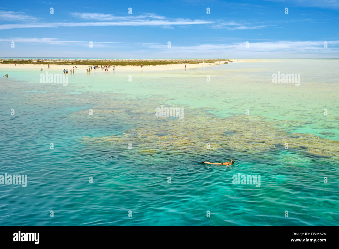Qulaan Inseln, Rotes Meer, Marsa Alam Region, Ägypten Stockfoto