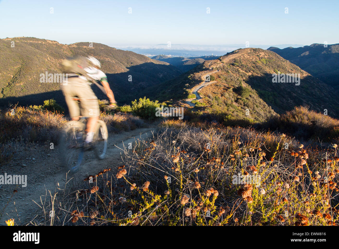 Ein Mountainbiker saust durch in den Santa Monica Mountains. Stockfoto