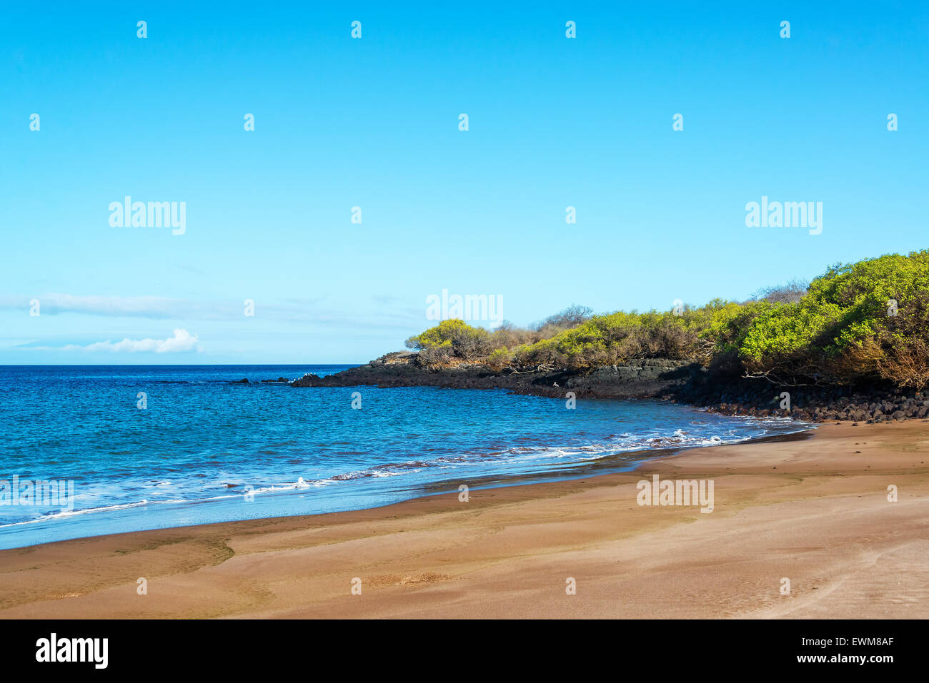 Strand auf der Insel Santiago auf den Galapagos Inseln Stockfoto