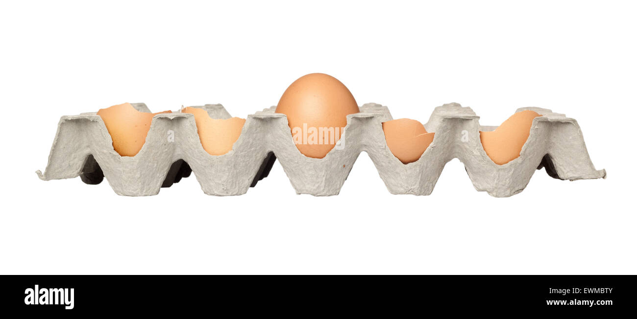 Ein intaktes Ei unter den gebrochenen Eiern auf einem Tablett isoliert auf weißem Hintergrund Stockfoto