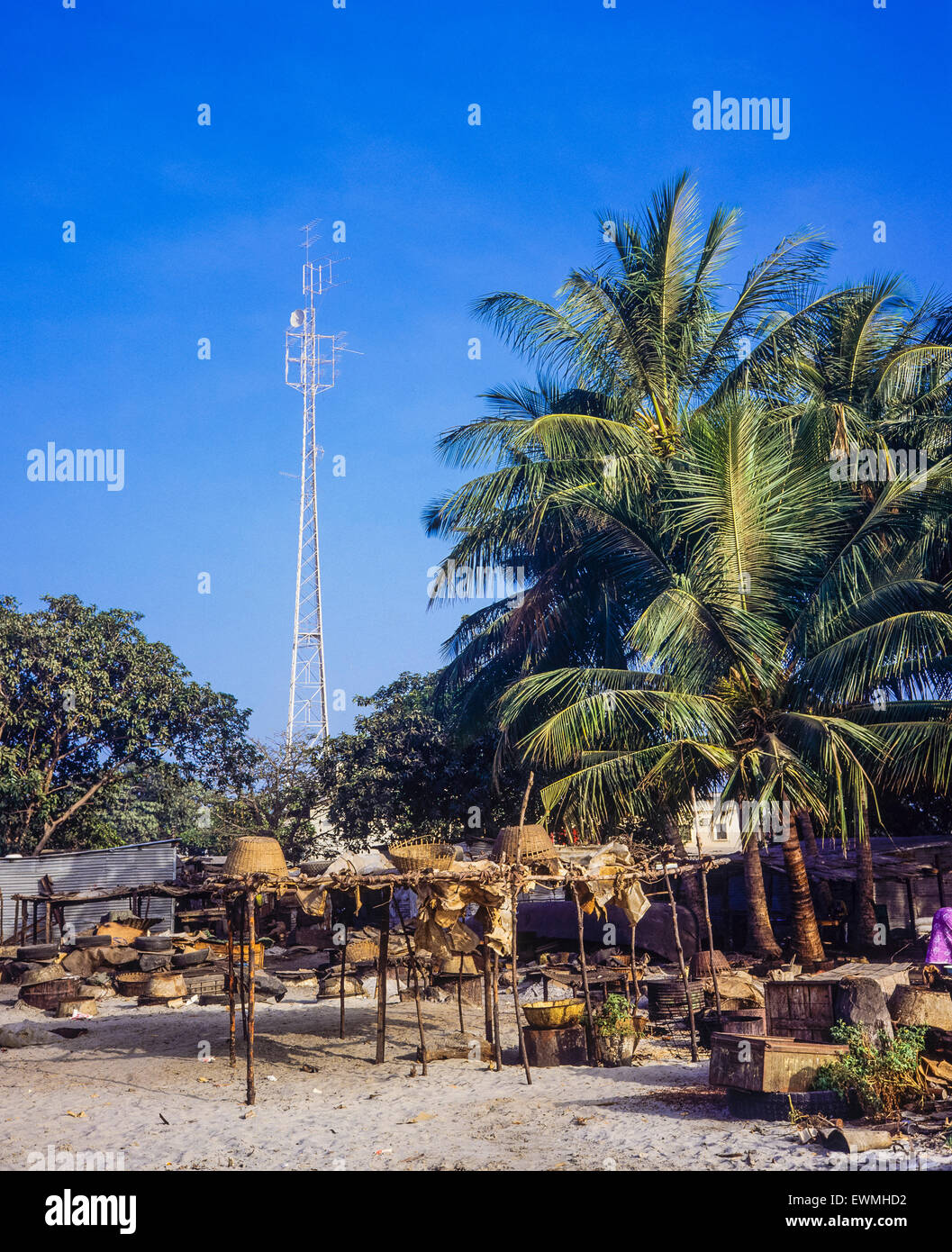 Kohle-Brenner Camp, Gambia, Westafrika Stockfoto