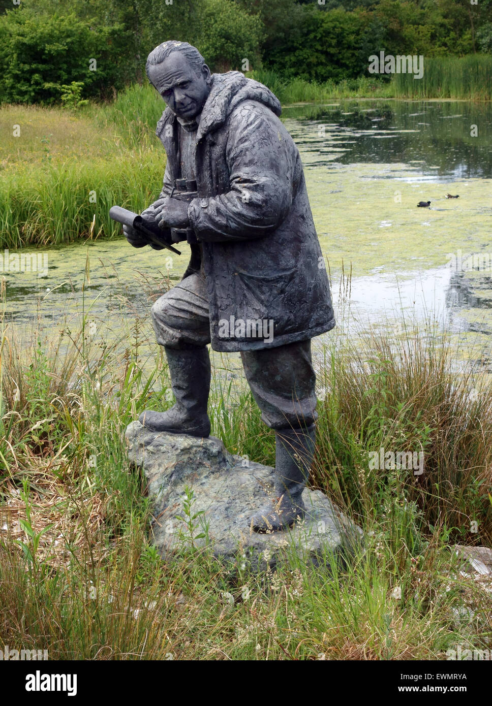 Statue des Naturforschers Sir Peter Scott in London Wetland Centre in Barnes, London Stockfoto