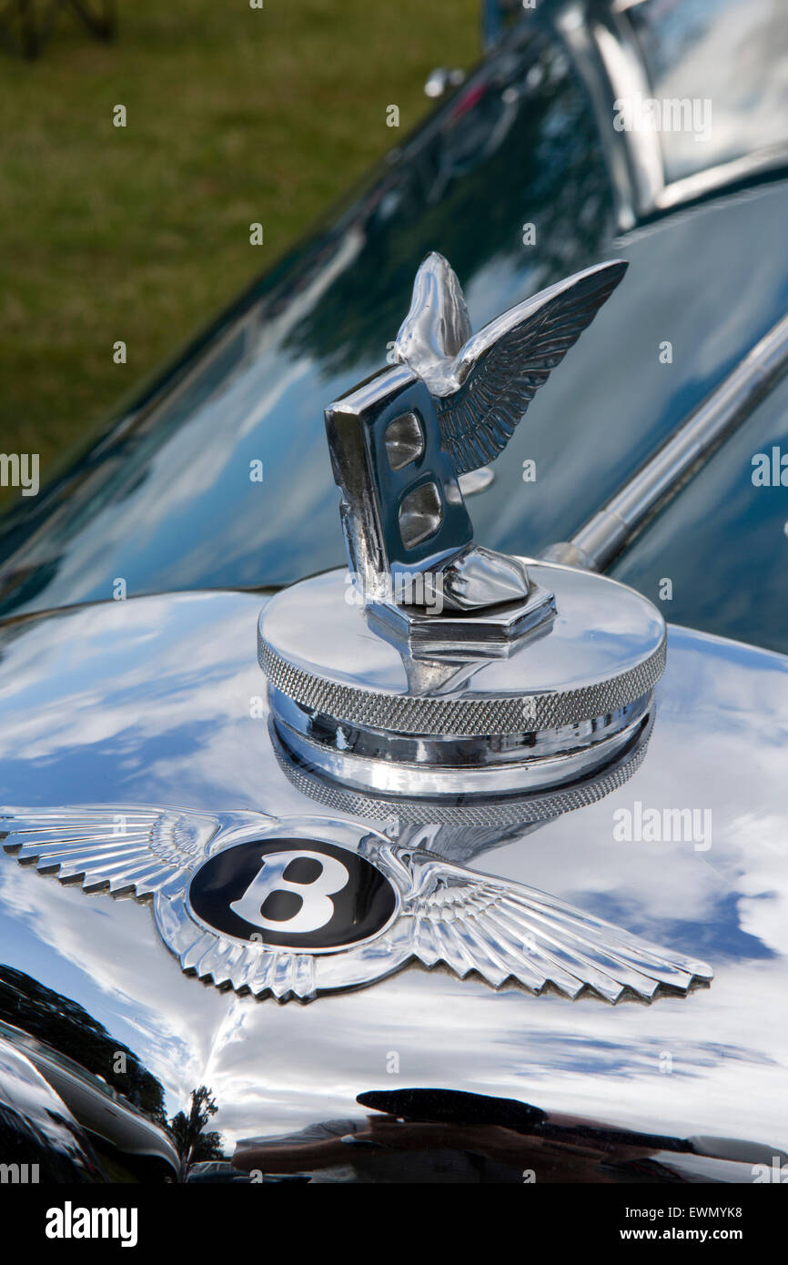 Großbritannien, England, Cheshire, Chelford, Astle Park Traction Motor Rally, Bentley Heizkörper Abzeichen und Kappe Stockfoto
