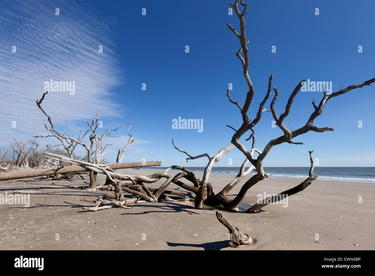 Botany Bay Strand, Edisto Island, South Carolina, USA Stockfotografie