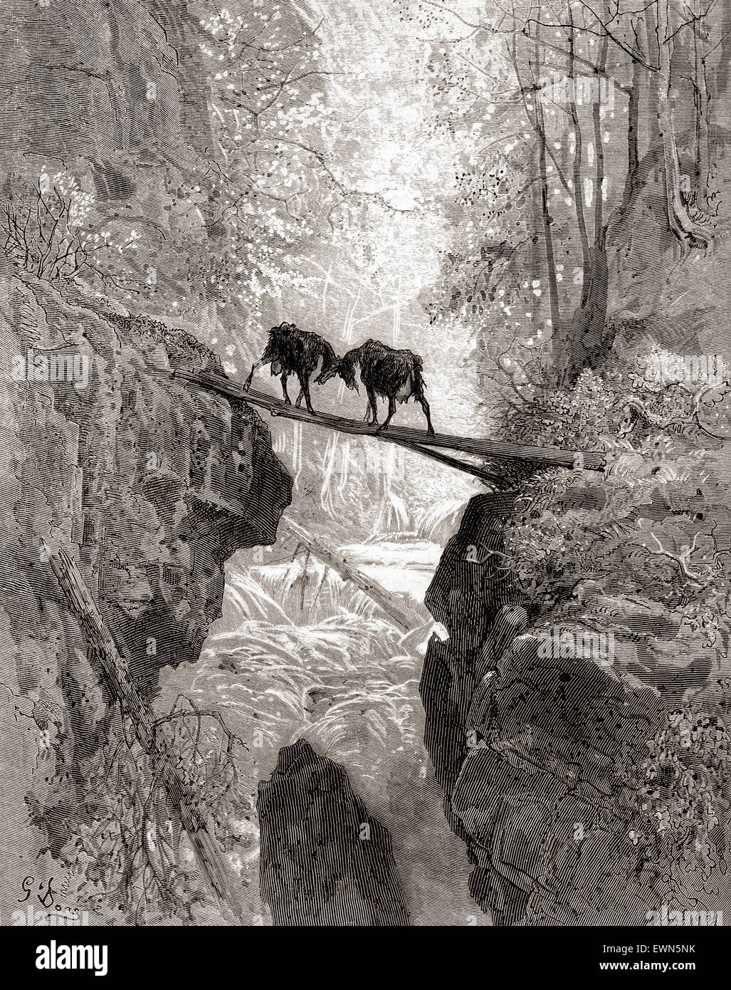 Die Beiden Ziegen Fabel Lehre Gustave Abbildung von La Fontaine Fabel die beiden Ziegen (Les Deux