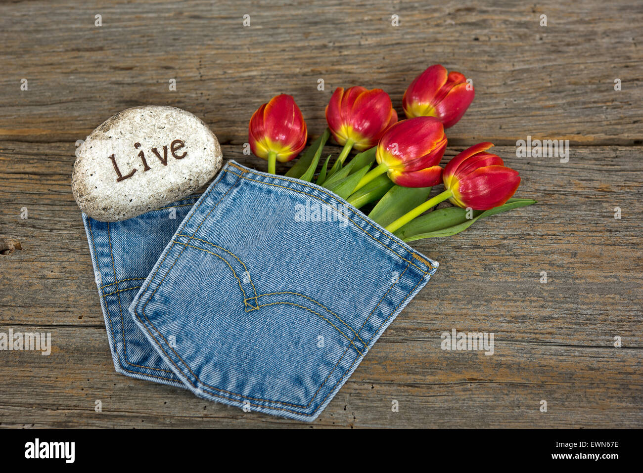Rote Tulpe Blumenstrauß in blue-Jeans-Tasche mit Rock auf rustikalen Holz. Stockfoto