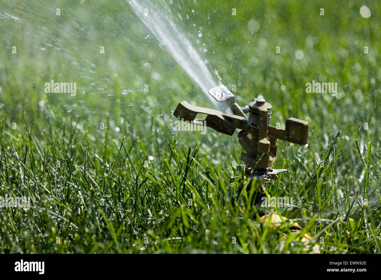 Automatische sprinkler Fotos und Bildmaterial in hoher Auflösung Alamy