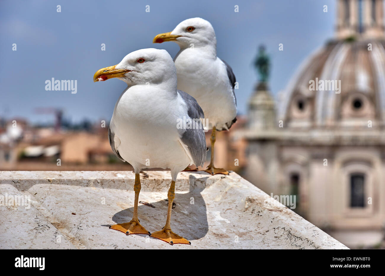 Museo Nazionale di Palazzo Venezia Roma Stockfoto