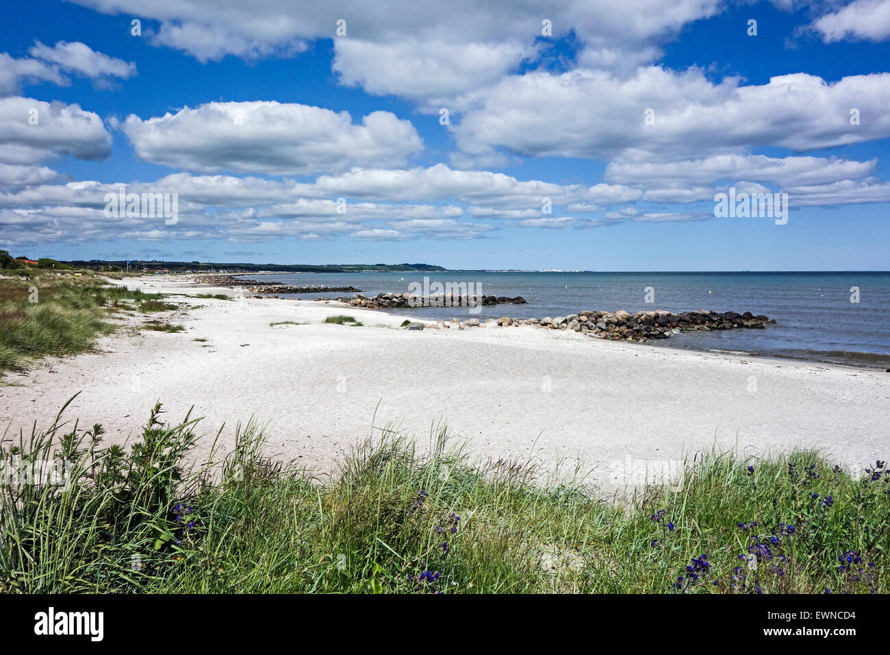 Der Strand nördlich von Sæby Hafen in Sæby Jütland Dänemark mit Steinen gelegt wie Maulwürfe oder Bollwerke um weitere Erosion zu verhindern. Stockfoto